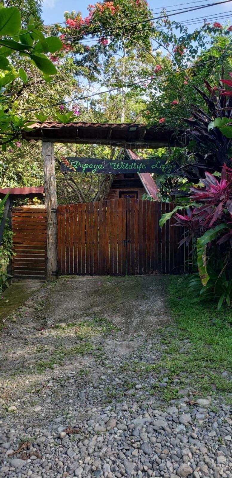 Papaya Wildlife Lodge Cahuita Exterior photo