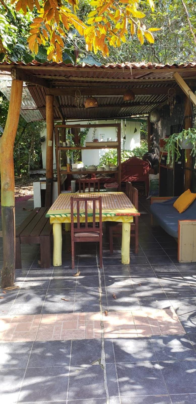 Papaya Wildlife Lodge Cahuita Exterior photo