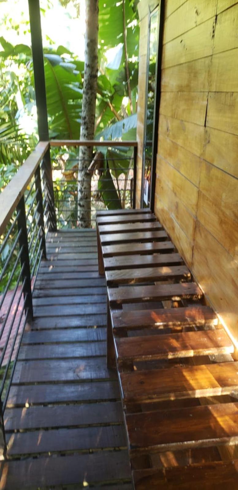 Papaya Wildlife Lodge Cahuita Exterior photo