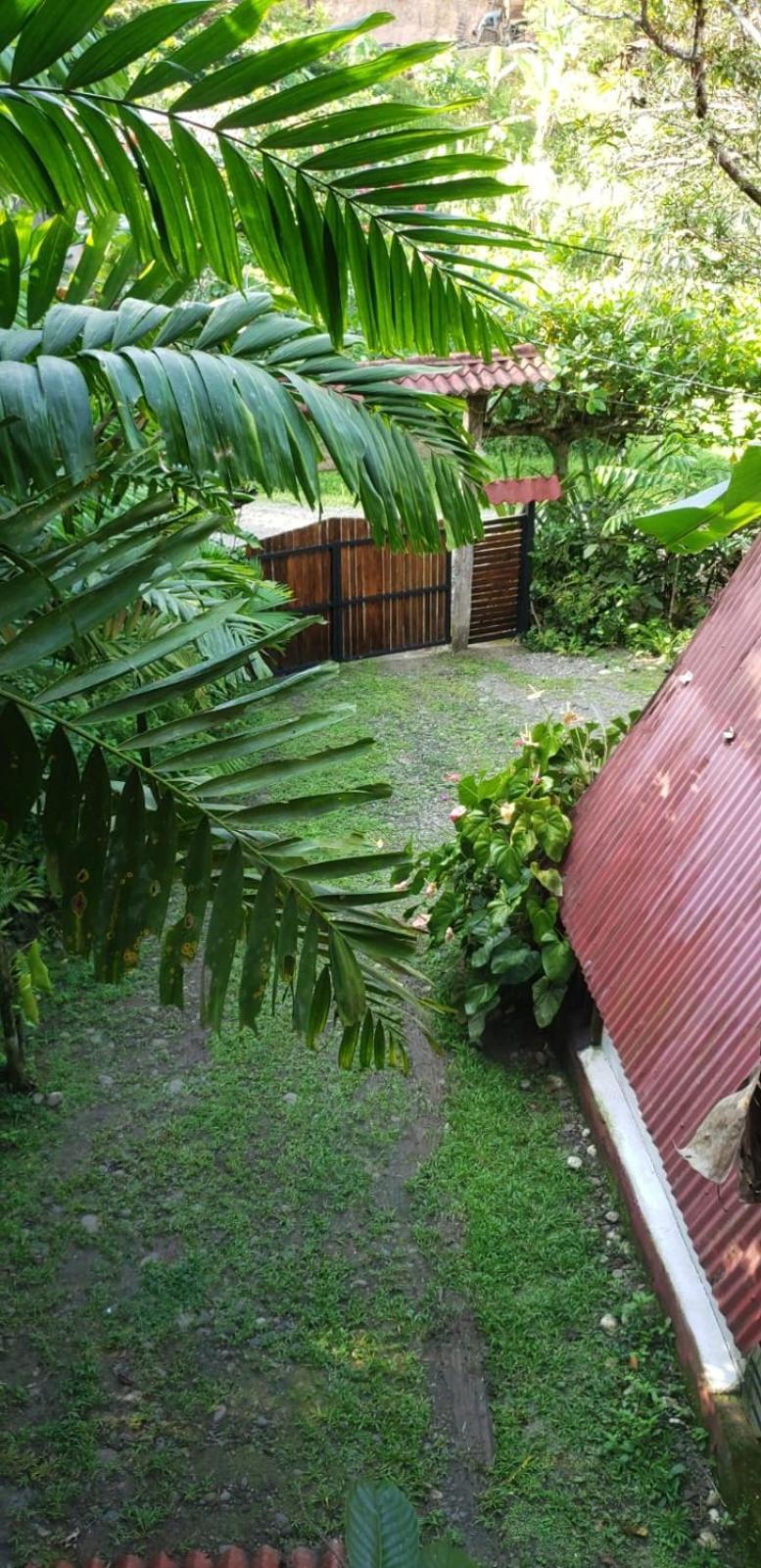 Papaya Wildlife Lodge Cahuita Exterior photo