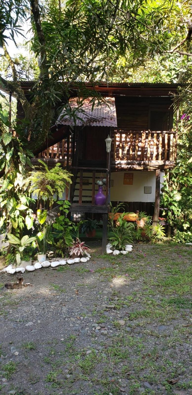 Papaya Wildlife Lodge Cahuita Exterior photo